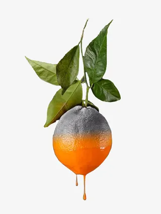 安全无毒水果PNG免抠