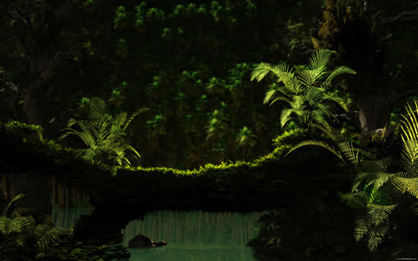 树干深林苔藓海报背景