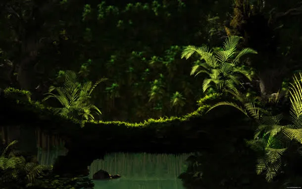 树干深林苔藓海报背景