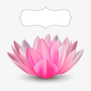 手绘粉色莲花矢量元素免抠