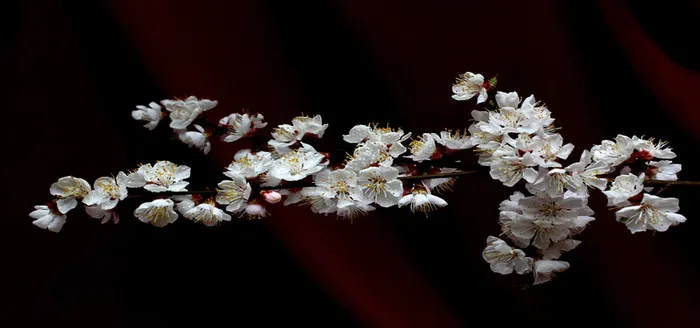 淘宝背景图高清