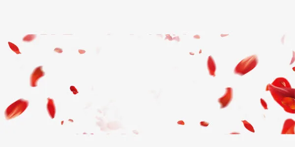 情人节浪漫红色花瓣免抠