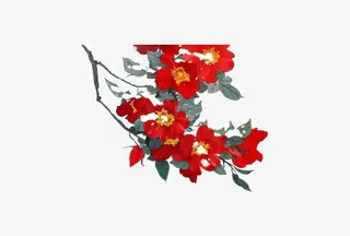 红色红花树枝免抠