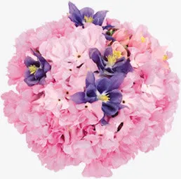 粉色鲜花花球花朵花束免抠