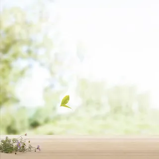 绿色文艺窗边家居用品主图背景高清