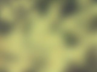 黄色高清背景高斯模糊图片素材