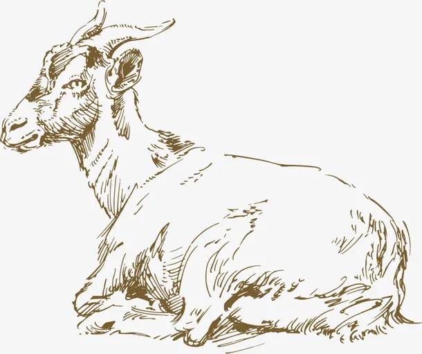 素描白色山羊免抠