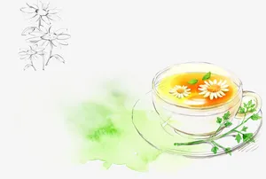 菊花茶 花免抠