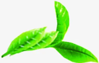 端午节绿色粽叶免抠