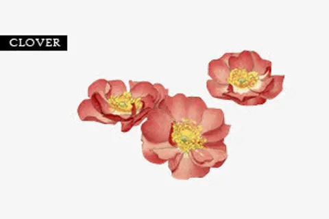 粉色唯美盛开小花免抠