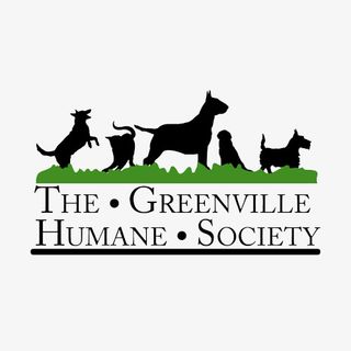 动物服务标志免抠