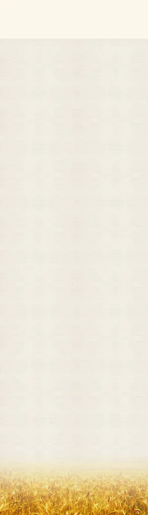 淘宝首页背景图高清