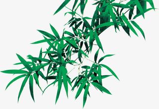 春天绿叶竹叶装饰免抠