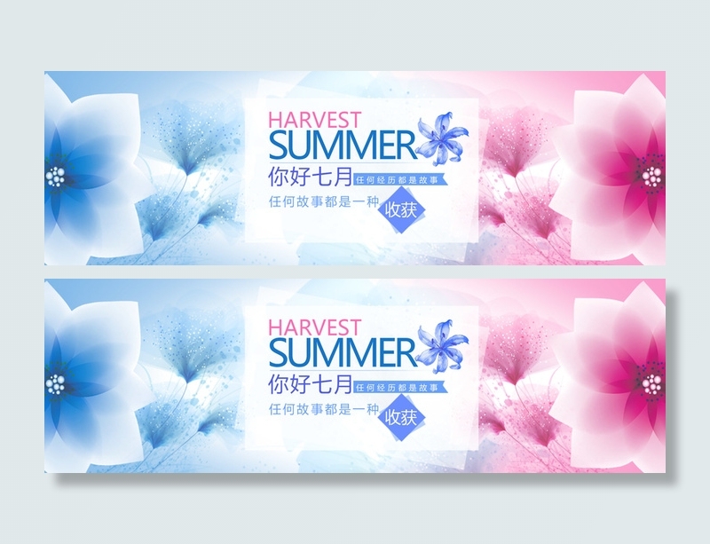 花瓣背景高清