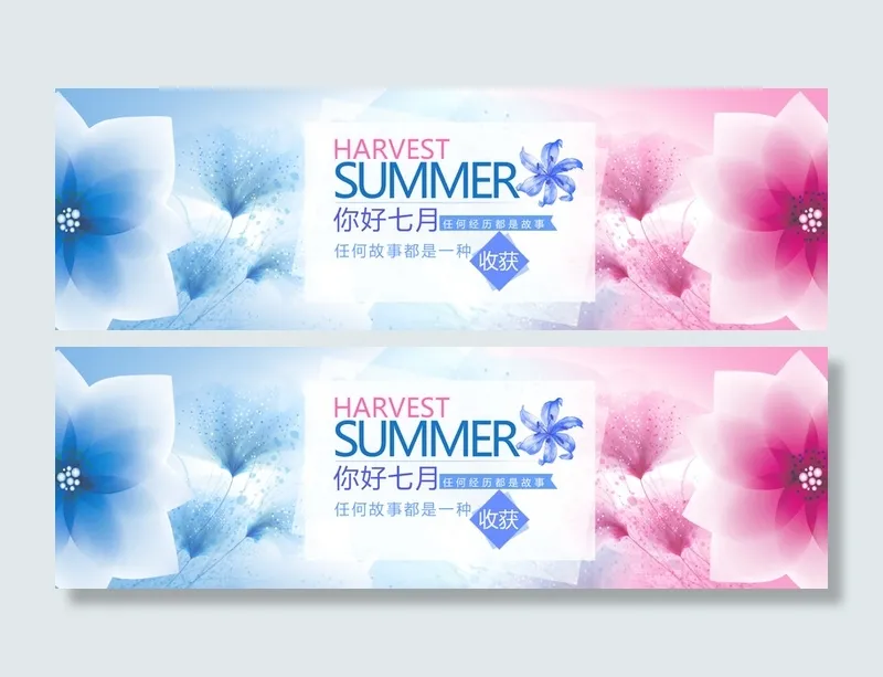 花瓣背景高清