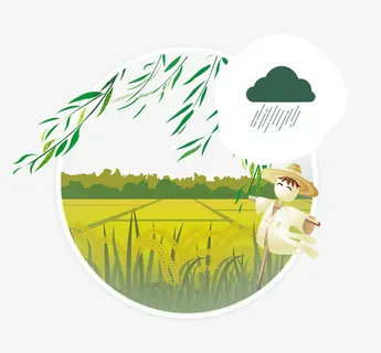 24节气谷雨海报免抠