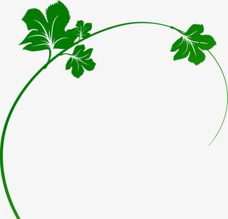 绿色弧形树枝花纹免抠