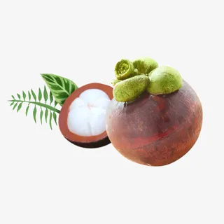 山竹果实微距特写免抠