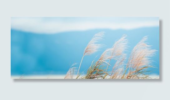 九月清新蓝色banner高清