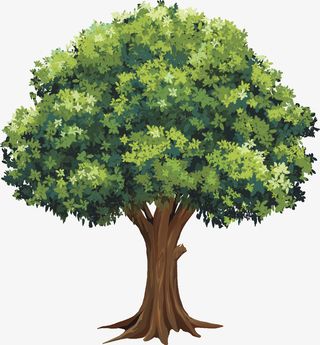矢量植物大树免抠