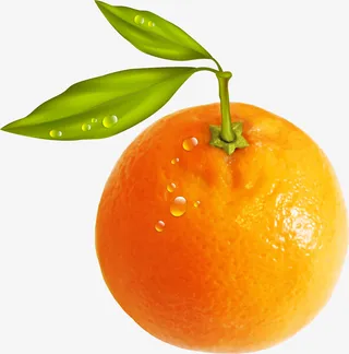 手绘黄色橙子免抠