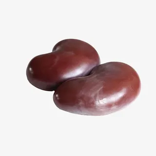 产品实物羊肾羊腰子免抠