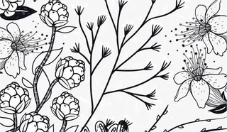 卡片矢量素材免抠