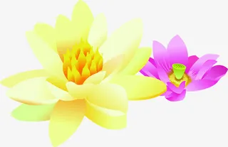 春天黄粉色手绘花朵免抠