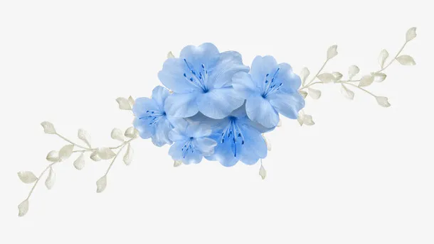 花哈免抠