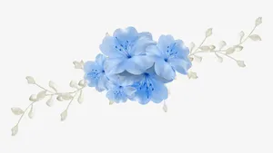 花哈免抠