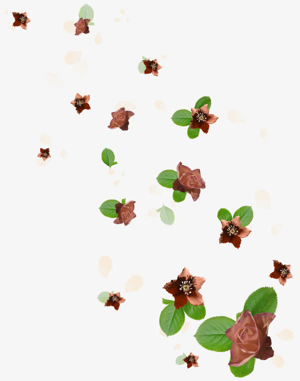 落花落叶漂浮物免抠