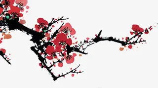 花枝红色梅花免抠