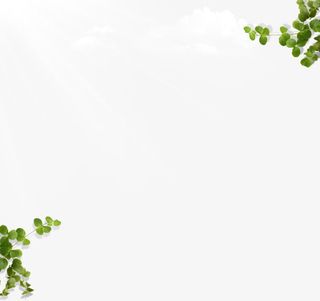 绿色时尚春天树枝免抠