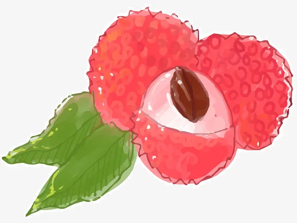 粉红色手绘迷你荔枝免抠