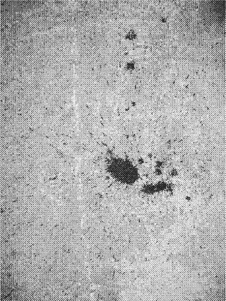 矢量怀旧喷溅墨迹花纹底纹背景素