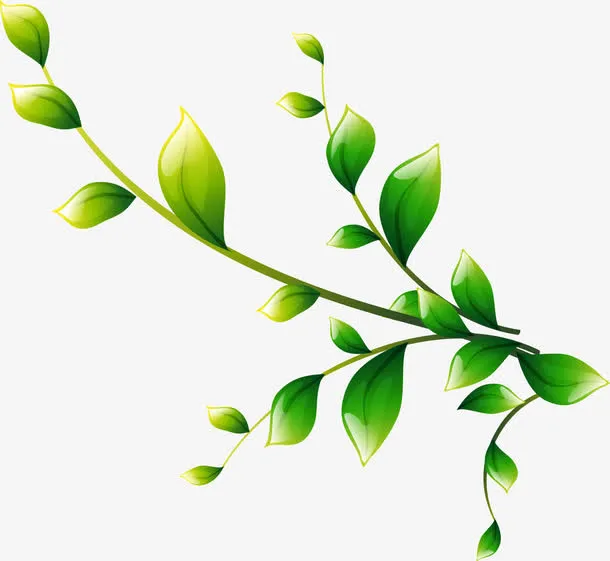 树枝树叶素材免抠