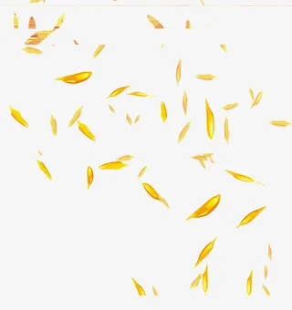 橙汁橙粒饮料食品免抠图免抠