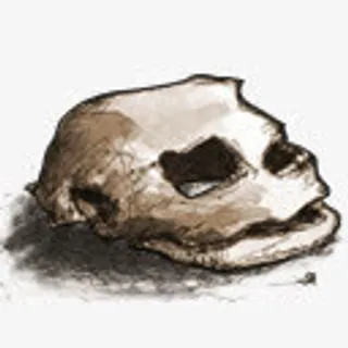 骷髅头免抠