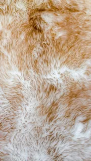 动物毛皮H5素材背景高清