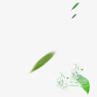 叶子免抠