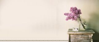 森系女装淘宝店铺背景 家居背景高清