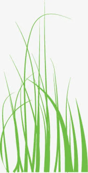 高清摄影活动绿色手绘绿色植物免抠