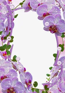 花样相框免抠 花样相框免抠