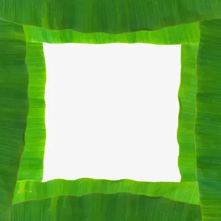 芭蕉叶壁纸免抠