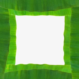 芭蕉叶壁纸免抠
