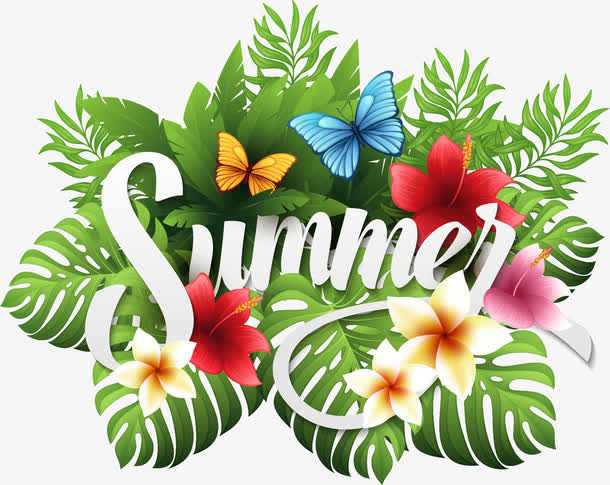 summer装饰图案免抠