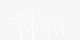 装饰的树枝免抠