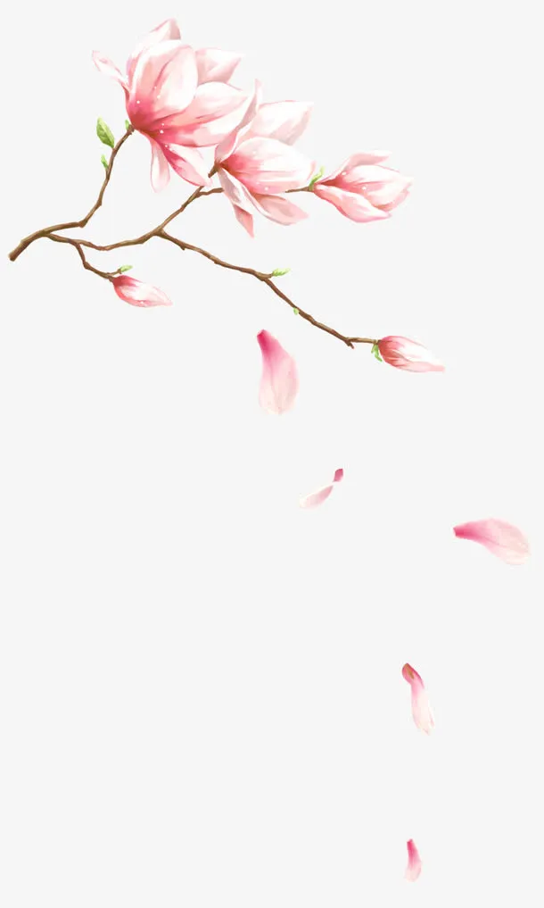 粉色梦幻玉兰花花瓣飘落装饰图案免抠
