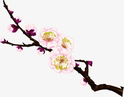 树枝粉色桃花免抠