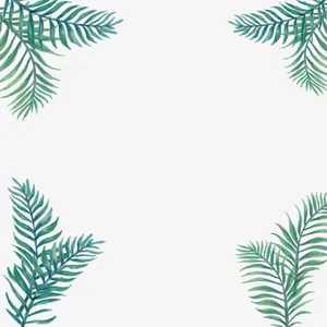 绿色叶子热带植物免抠
